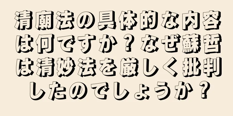 清廟法の具体的な内容は何ですか？なぜ蘇哲は清妙法を厳しく批判したのでしょうか？
