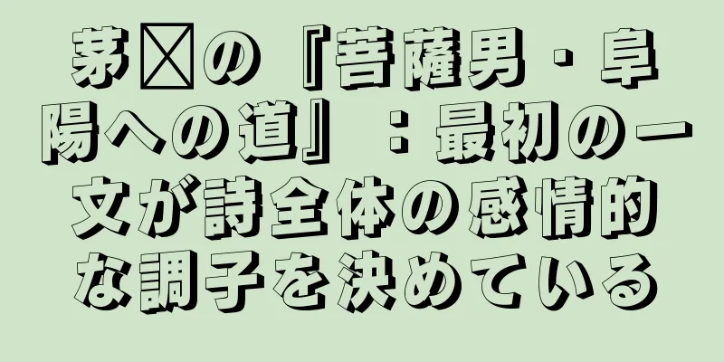 茅龐の『菩薩男・阜陽への道』：最初の一文が詩全体の感情的な調子を決めている