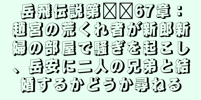 岳飛伝説第​​67章：趙宮の荒くれ者が新郎新婦の部屋で騒ぎを起こし、岳安に二人の兄弟と結婚するかどうか尋ねる