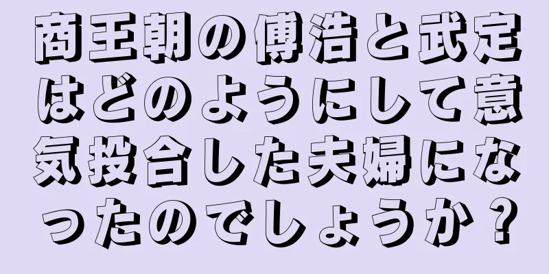 商王朝の傅浩と武定はどのようにして意気投合した夫婦になったのでしょうか？