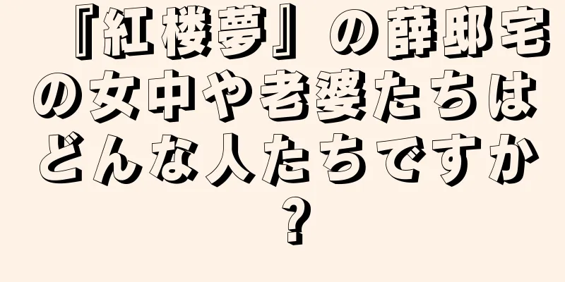 『紅楼夢』の薛邸宅の女中や老婆たちはどんな人たちですか？