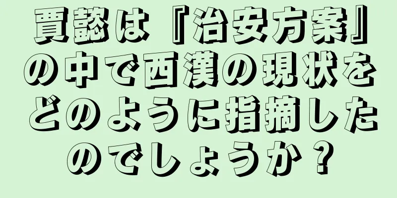 賈懿は『治安方案』の中で西漢の現状をどのように指摘したのでしょうか？