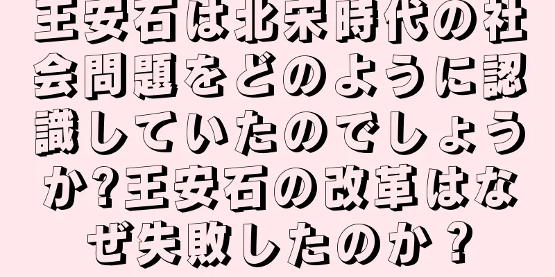 王安石は北宋時代の社会問題をどのように認識していたのでしょうか?王安石の改革はなぜ失敗したのか？
