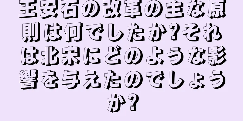 王安石の改革の主な原則は何でしたか?それは北宋にどのような影響を与えたのでしょうか?