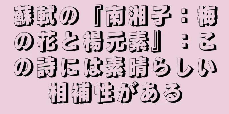 蘇軾の『南湘子：梅の花と楊元素』：この詩には素晴らしい相補性がある