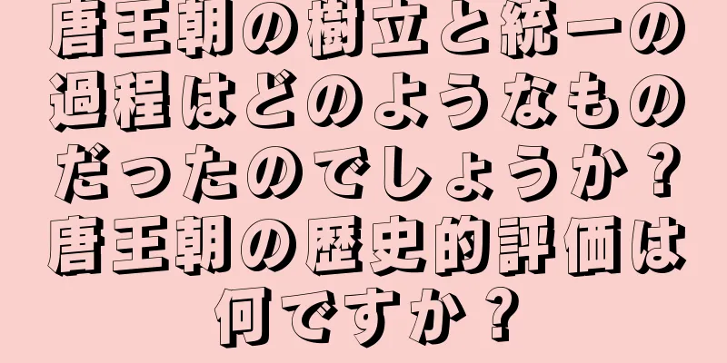 唐王朝の樹立と統一の過程はどのようなものだったのでしょうか？唐王朝の歴史的評価は何ですか？