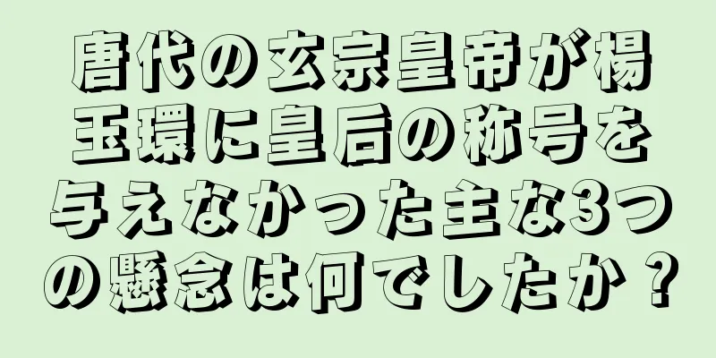 唐代の玄宗皇帝が楊玉環に皇后の称号を与えなかった主な3つの懸念は何でしたか？