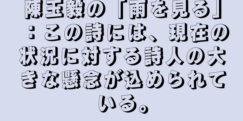 陳玉毅の「雨を見る」：この詩には、現在の状況に対する詩人の大きな懸念が込められている。
