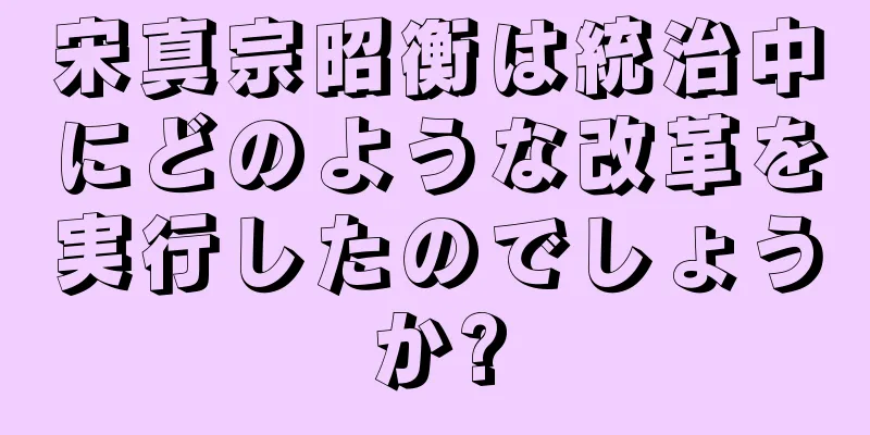 宋真宗昭衡は統治中にどのような改革を実行したのでしょうか?