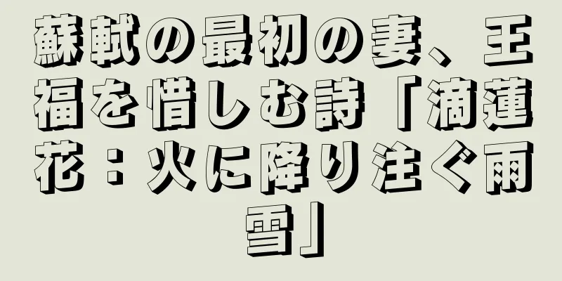 蘇軾の最初の妻、王福を惜しむ詩「滴蓮花：火に降り注ぐ雨雪」