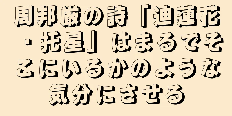 周邦厳の詩「迪蓮花・托星」はまるでそこにいるかのような気分にさせる