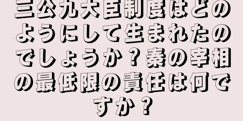 三公九大臣制度はどのようにして生まれたのでしょうか？秦の宰相の最低限の責任は何ですか？