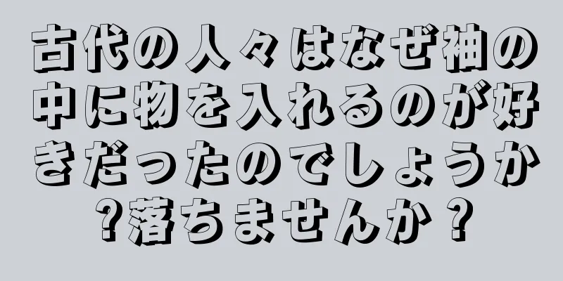 古代の人々はなぜ袖の中に物を入れるのが好きだったのでしょうか?落ちませんか？