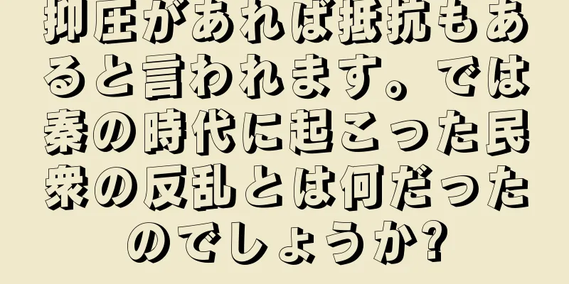 抑圧があれば抵抗もあると言われます。では秦の時代に起こった民衆の反乱とは何だったのでしょうか?