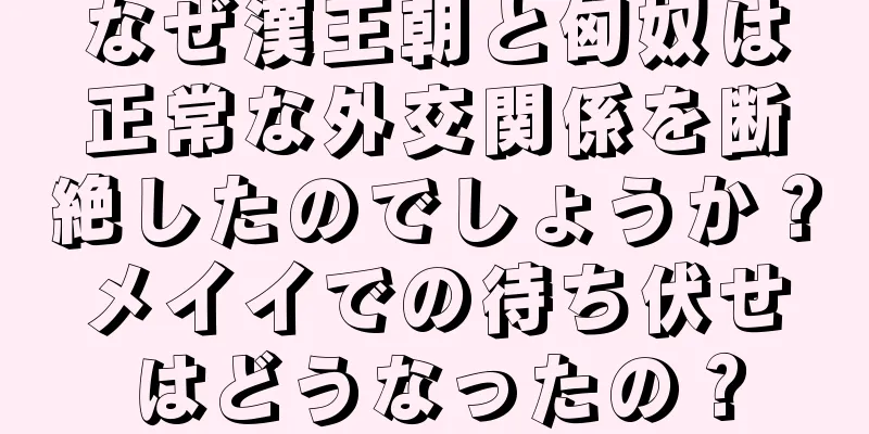 なぜ漢王朝と匈奴は正常な外交関係を断絶したのでしょうか？メイイでの待ち伏せはどうなったの？