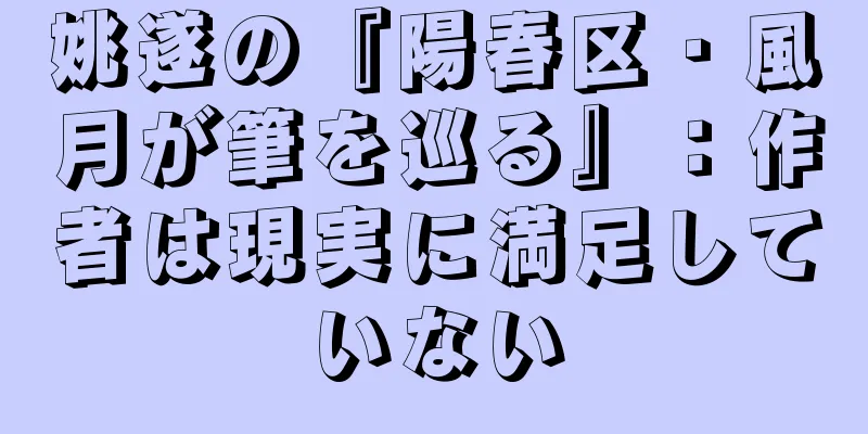 姚遂の『陽春区・風月が筆を巡る』：作者は現実に満足していない