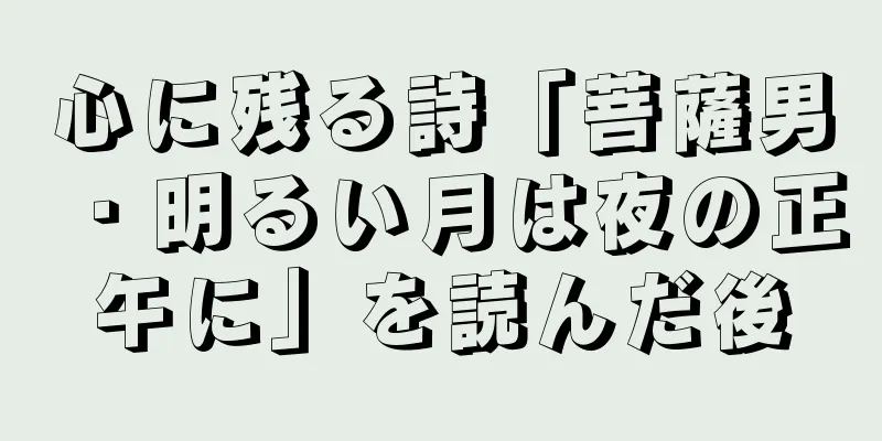 心に残る詩「菩薩男・明るい月は夜の正午に」を読んだ後