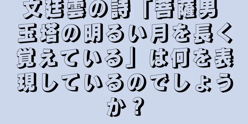文廷雲の詩「菩薩男 玉塔の明るい月を長く覚えている」は何を表現しているのでしょうか？