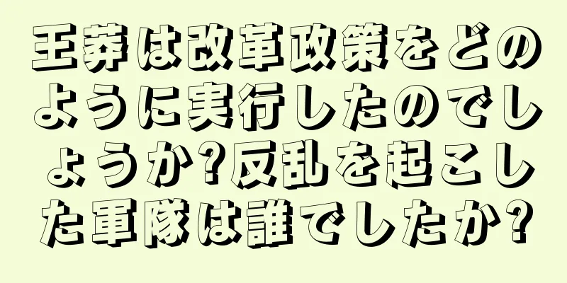 王莽は改革政策をどのように実行したのでしょうか?反乱を起こした軍隊は誰でしたか?