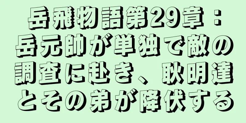 岳飛物語第29章：岳元帥が単独で敵の調査に赴き、耿明達とその弟が降伏する