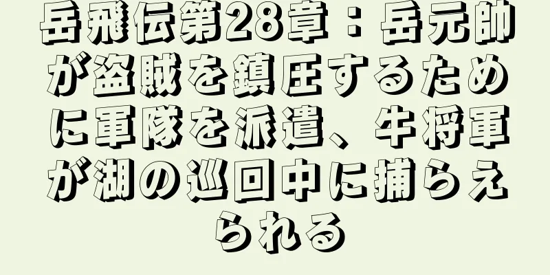 岳飛伝第28章：岳元帥が盗賊を鎮圧するために軍隊を派遣、牛将軍が湖の巡回中に捕らえられる