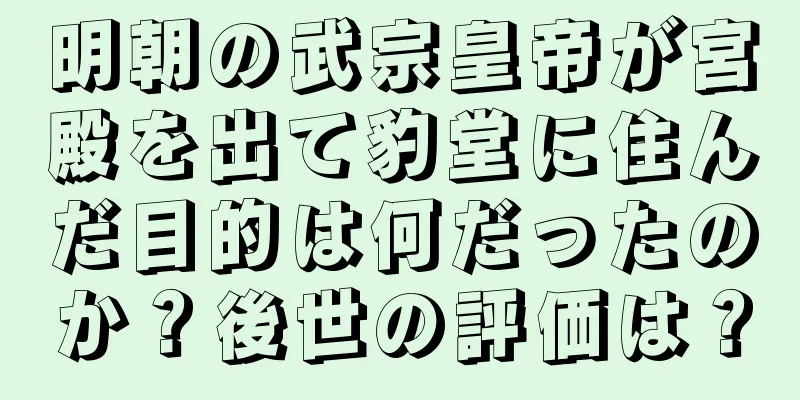 明朝の武宗皇帝が宮殿を出て豹堂に住んだ目的は何だったのか？後世の評価は？