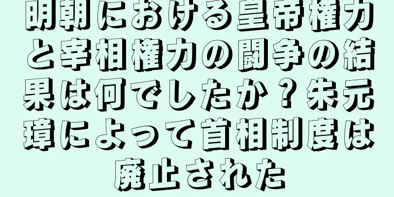 明朝における皇帝権力と宰相権力の闘争の結果は何でしたか？朱元璋によって首相制度は廃止された