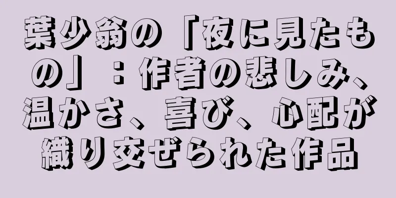 葉少翁の「夜に見たもの」：作者の悲しみ、温かさ、喜び、心配が織り交ぜられた作品