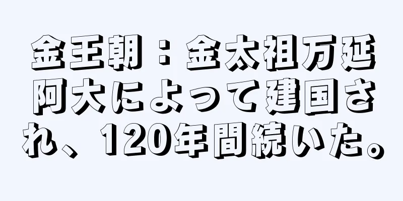 金王朝：金太祖万延阿大によって建国され、120年間続いた。