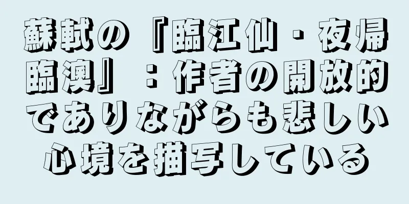 蘇軾の『臨江仙・夜帰臨澳』：作者の開放的でありながらも悲しい心境を描写している