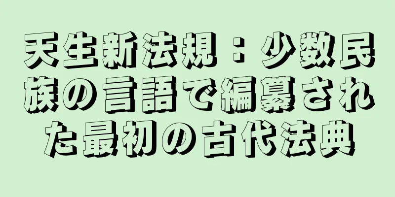 天生新法規：少数民族の言語で編纂された最初の古代法典