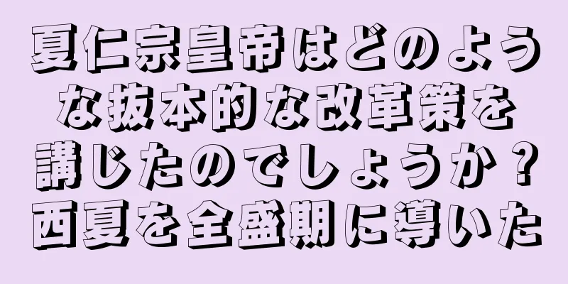 夏仁宗皇帝はどのような抜本的な改革策を講じたのでしょうか？西夏を全盛期に導いた