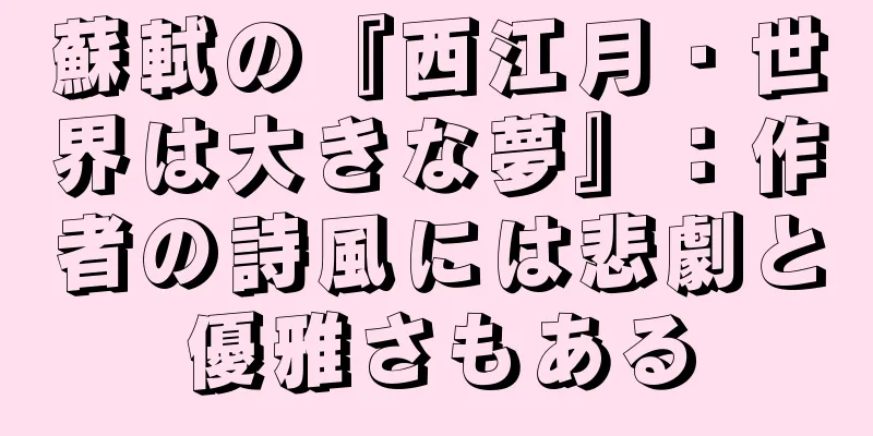 蘇軾の『西江月・世界は大きな夢』：作者の詩風には悲劇と優雅さもある