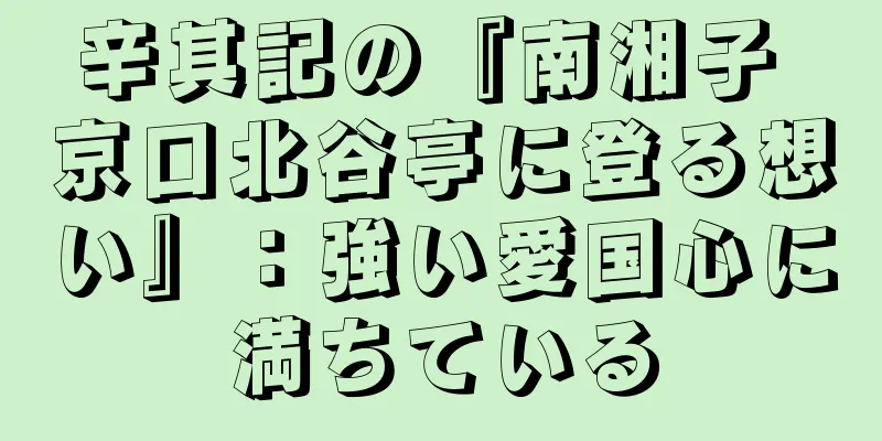 辛其記の『南湘子 京口北谷亭に登る想い』：強い愛国心に満ちている