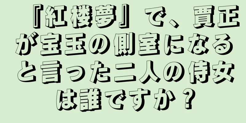 『紅楼夢』で、賈正が宝玉の側室になると言った二人の侍女は誰ですか？