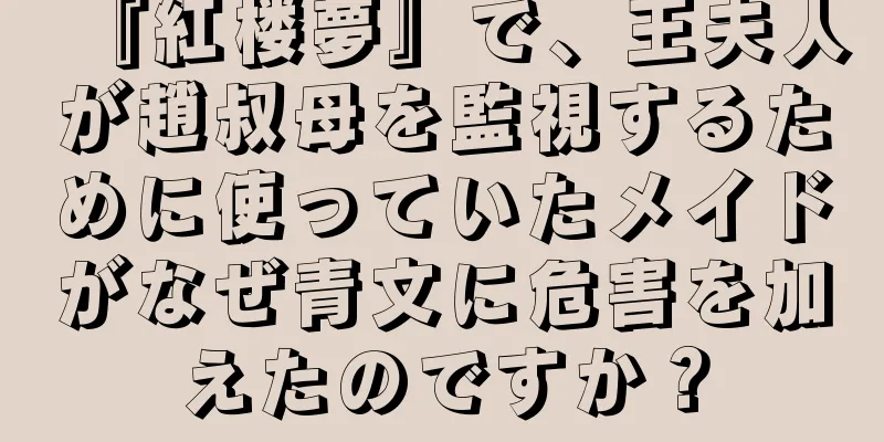 『紅楼夢』で、王夫人が趙叔母を監視するために使っていたメイドがなぜ青文に危害を加えたのですか？