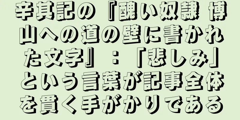 辛其記の『醜い奴隷 博山への道の壁に書かれた文字』：「悲しみ」という言葉が記事全体を貫く手がかりである