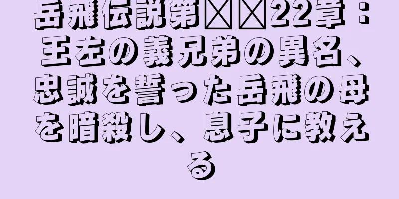 岳飛伝説第​​22章：王左の義兄弟の異名、忠誠を誓った岳飛の母を暗殺し、息子に教える