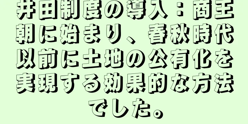 井田制度の導入：商王朝に始まり、春秋時代以前に土地の公有化を実現する効果的な方法でした。