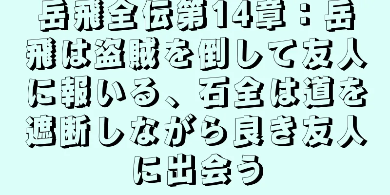 岳飛全伝第14章：岳飛は盗賊を倒して友人に報いる、石全は道を遮断しながら良き友人に出会う