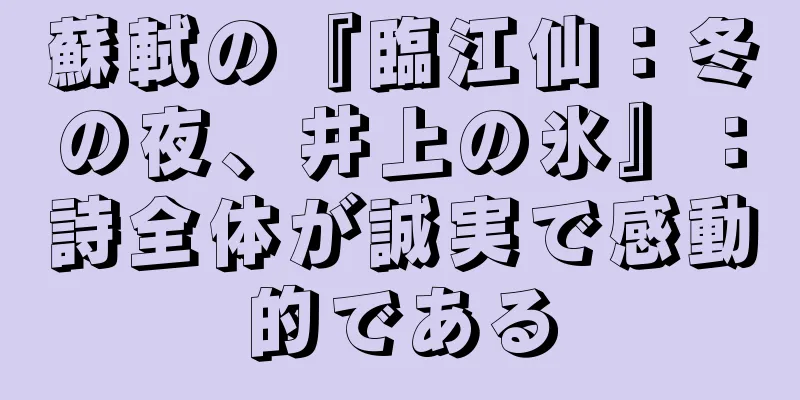 蘇軾の『臨江仙：冬の夜、井上の氷』：詩全体が誠実で感動的である