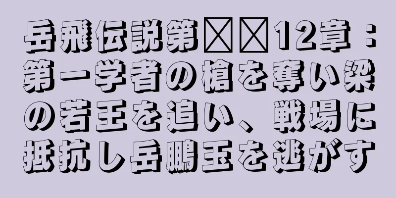 岳飛伝説第​​12章：第一学者の槍を奪い梁の若王を追い、戦場に抵抗し岳鵬玉を逃がす