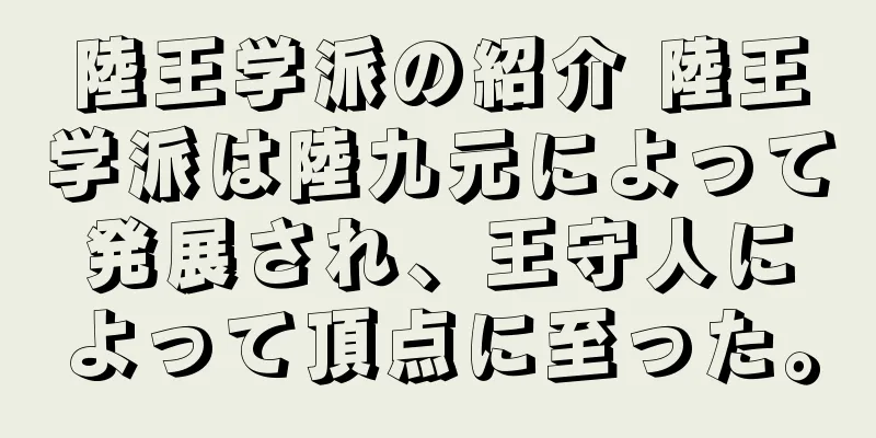 陸王学派の紹介 陸王学派は陸九元によって発展され、王守人によって頂点に至った。