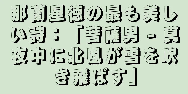 那蘭星徳の最も美しい詩：「菩薩男 - 真夜中に北風が雪を吹き飛ばす」