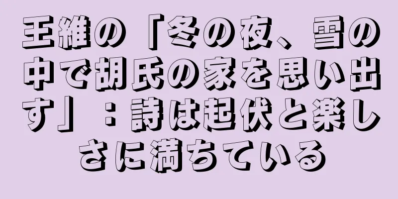 王維の「冬の夜、雪の中で胡氏の家を思い出す」：詩は起伏と楽しさに満ちている