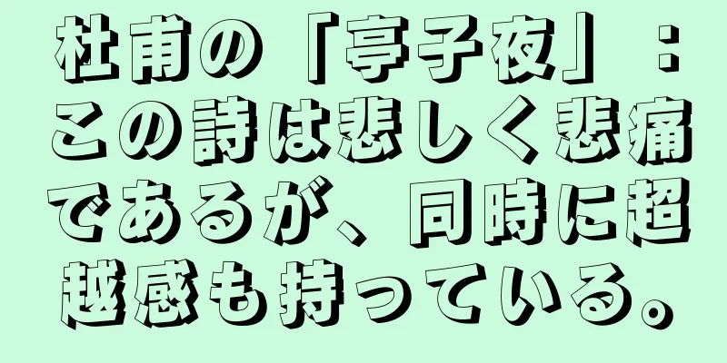 杜甫の「亭子夜」：この詩は悲しく悲痛であるが、同時に超越感も持っている。