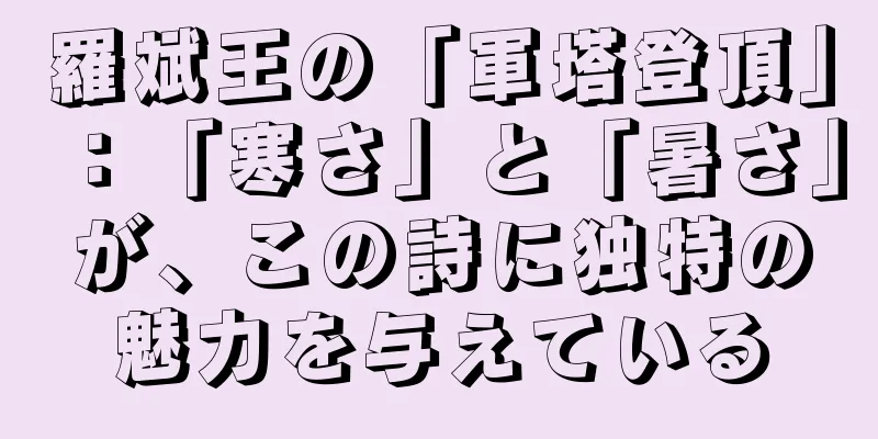 羅斌王の「軍塔登頂」：「寒さ」と「暑さ」が、この詩に独特の魅力を与えている