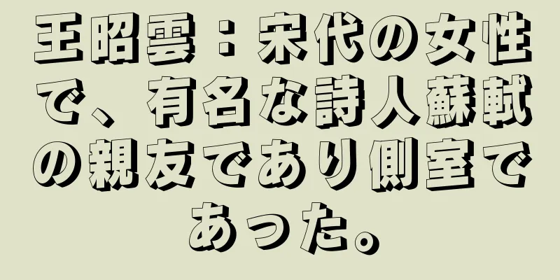王昭雲：宋代の女性で、有名な詩人蘇軾の親友であり側室であった。