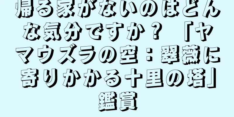 帰る家がないのはどんな気分ですか？ 「ヤマウズラの空：翠薇に寄りかかる十里の塔」鑑賞