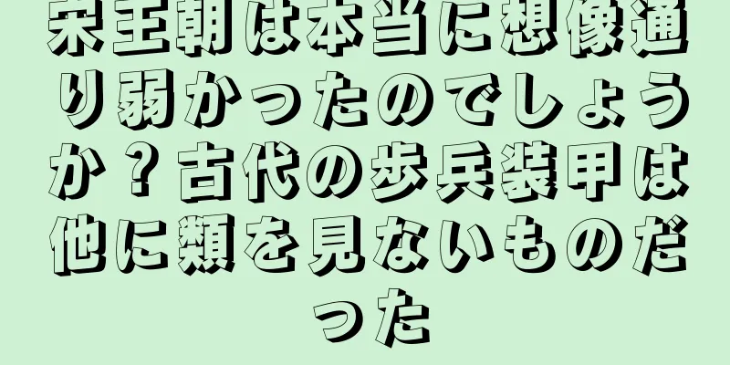 宋王朝は本当に想像通り弱かったのでしょうか？古代の歩兵装甲は他に類を見ないものだった